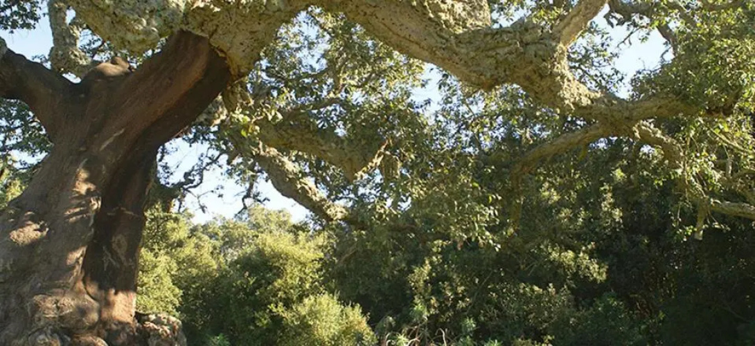 Agriturismo Santa Barbara