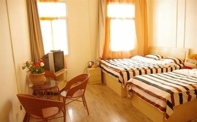 Standard Attic room