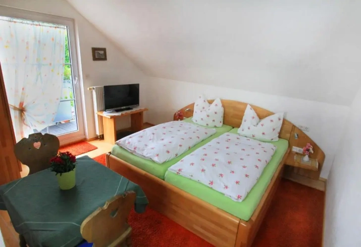Standard Double room with balcony and with view