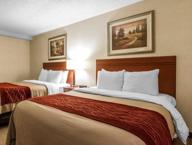 Standard Quadruple room