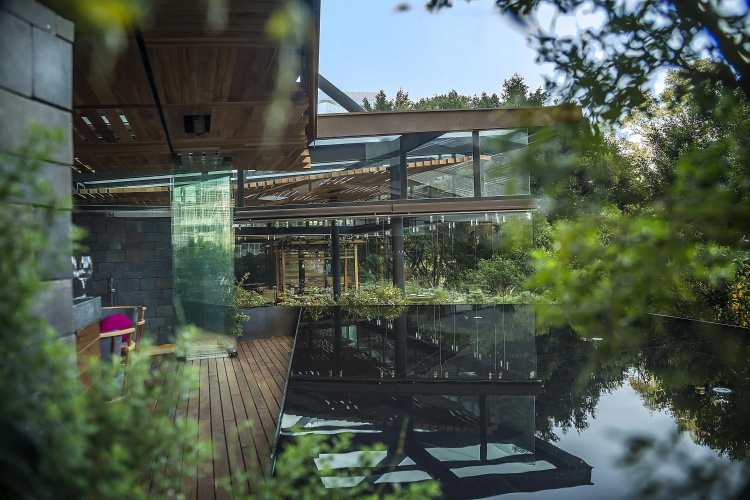 InterContinental Presidente Mexico City photo 33