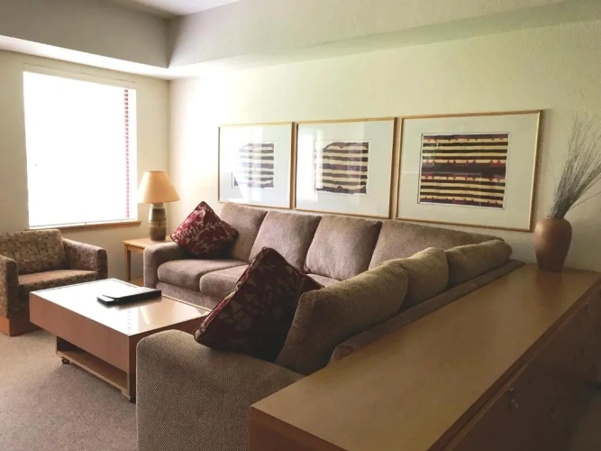 1 Bedroom Premium Suite
