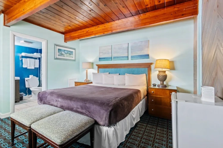 1 Bedroom Standard Suite