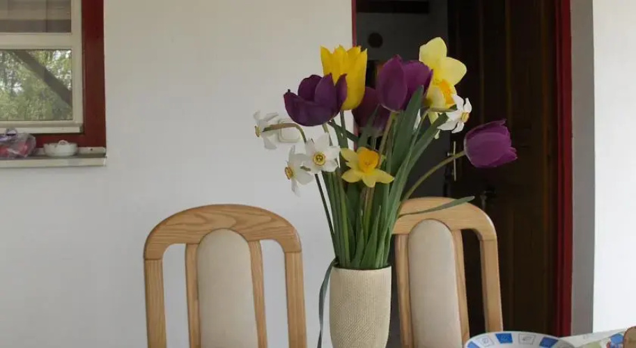 Fácánkert Apartmanház