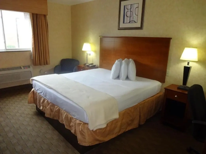 Standard room
