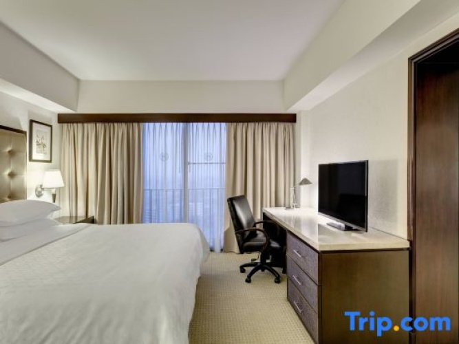 Single Junior Suite
