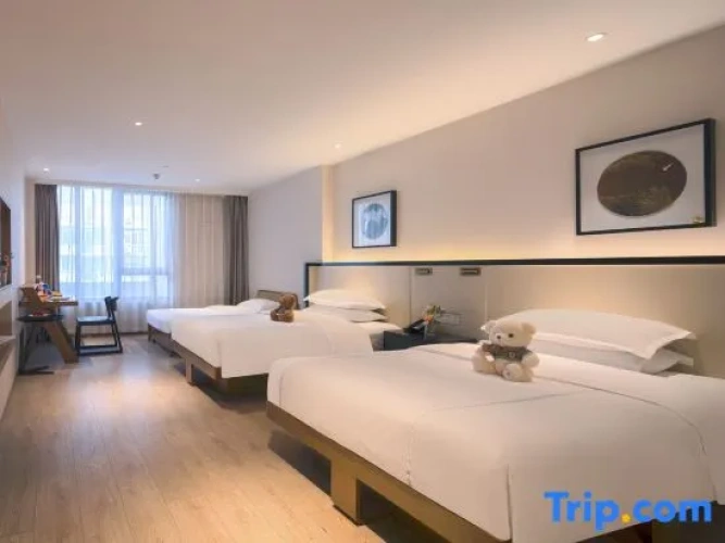 Deluxe Single room