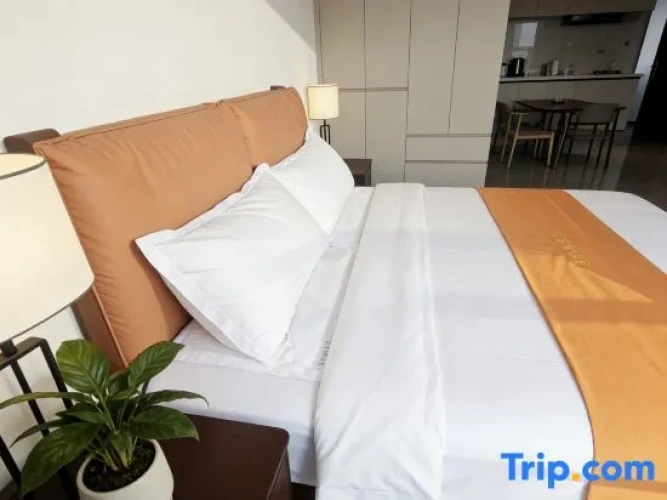 Comfort Suite