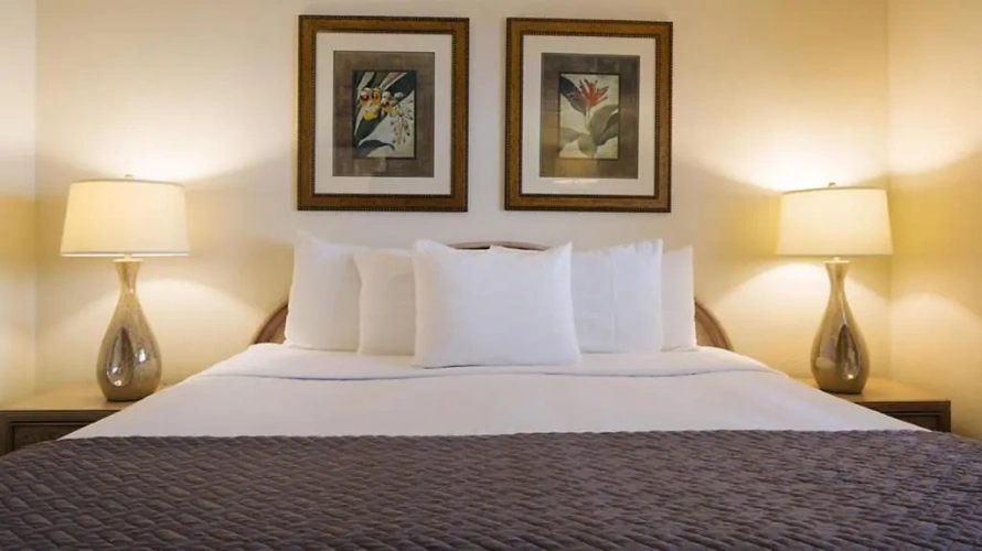 1 Bedroom Suite