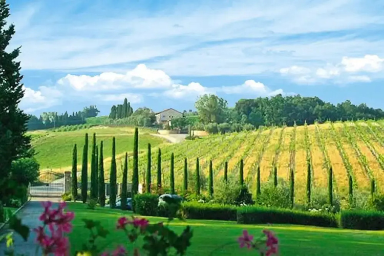 Apartment in Tuscany With Pool & Golf