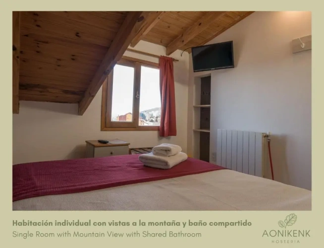 Standard Single room with mountain view