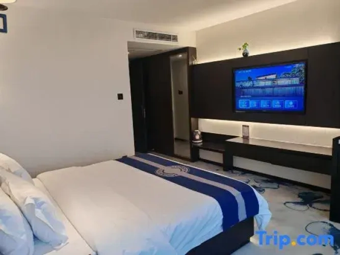 1 Bedroom Suite