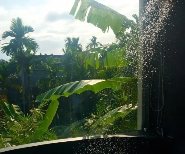 Deluxe Double room with balcony and with garden view