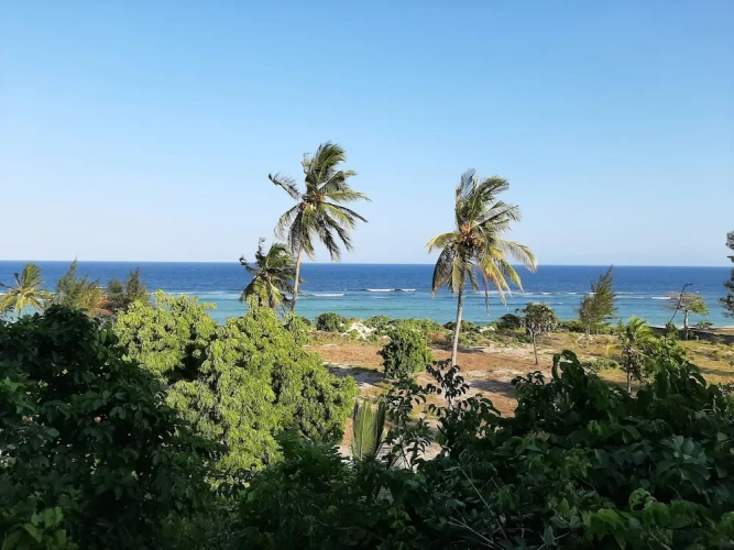Comfort Double room with balcony and beachfront