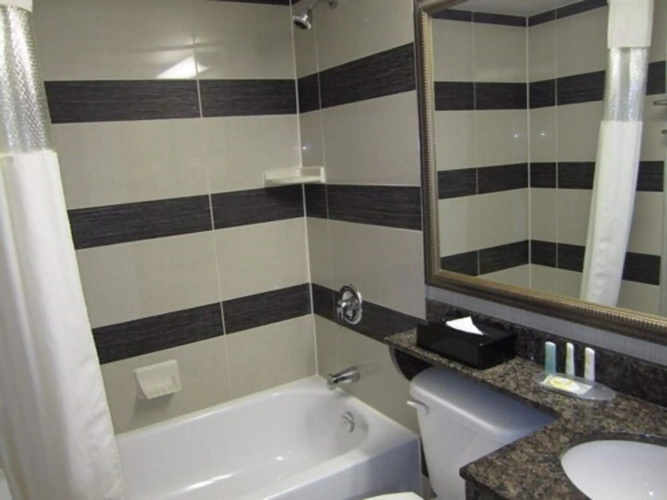 Comfort Suites Downtown photo 11