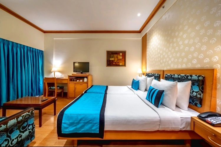 Business Double room with city view