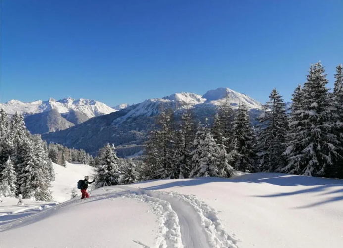 Bergperle Apartments & Mountain Sport