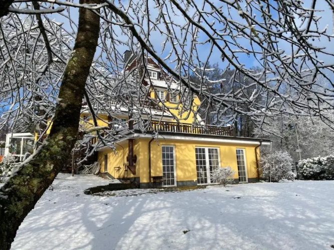 Wollmeiner's Lodge