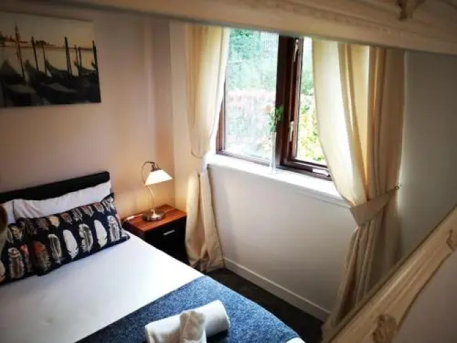 Mycosy 605