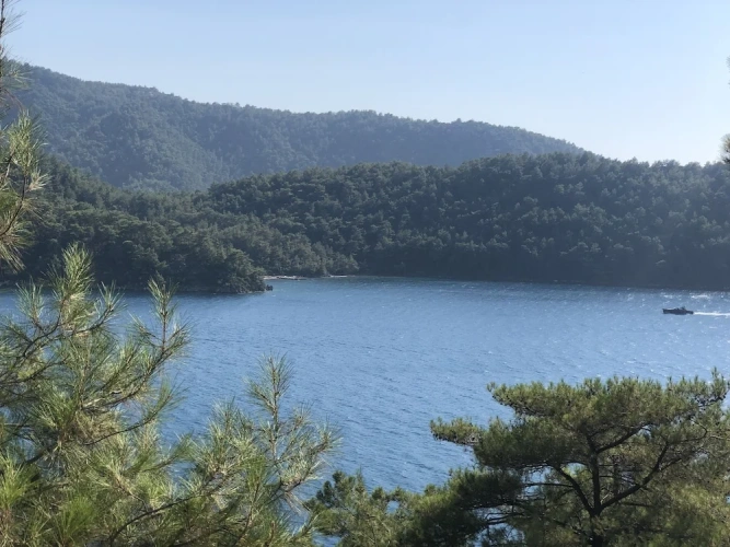1 Bedroom Family Cottage with mountain view