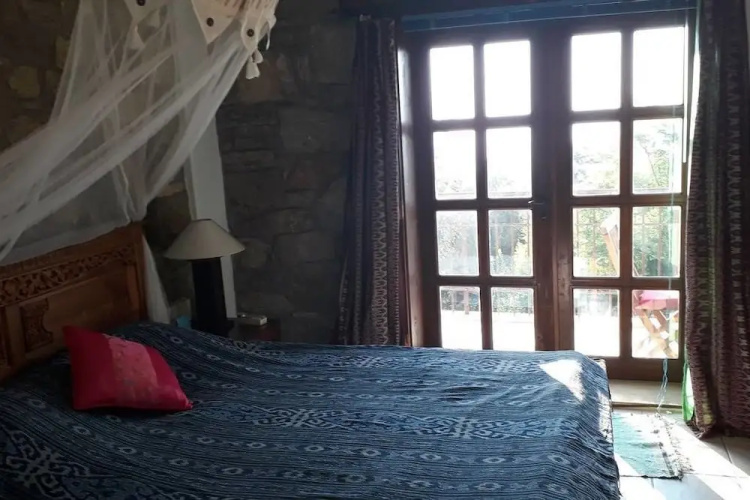 Lazy Lizard Boutique-Hotel