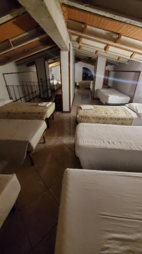 Bed in Dorm