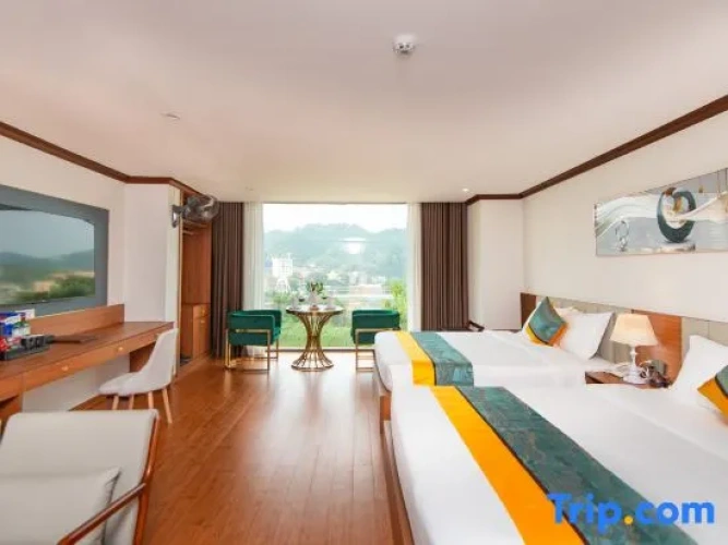 Standard Twin Family room