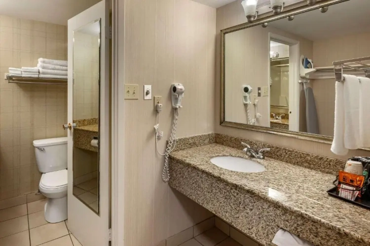 Superior Double Suite