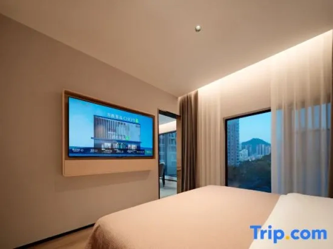 1 Bedroom Executive Suite