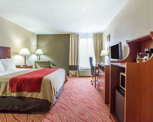 Standard Double room