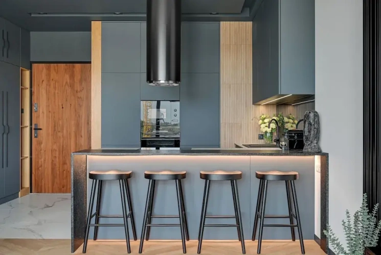 Classic Apartment