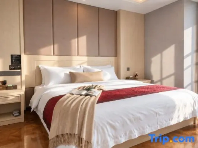 1 Bedroom Comfort Suite