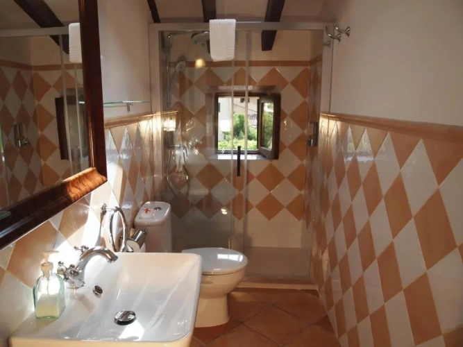 Economy Twin room