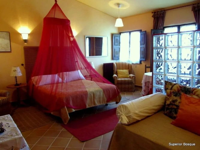 Superior Double Junior Suite