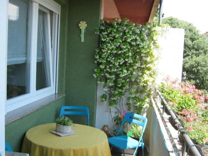 2 Bedrooms Apartment with balcony and with view