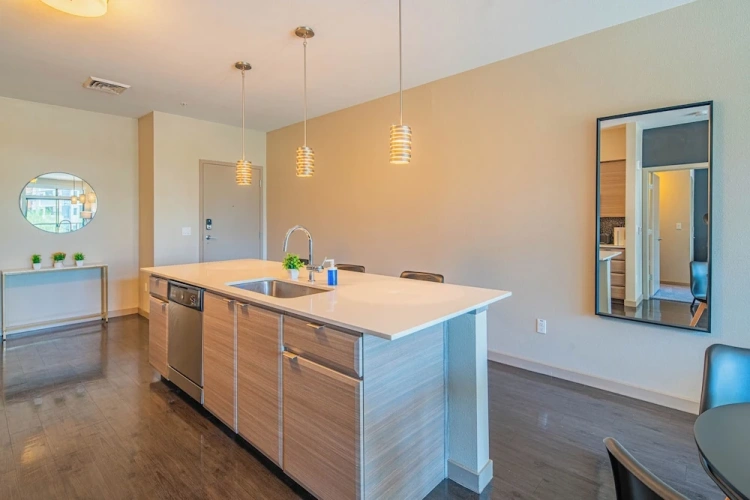 1 Bedroom Deluxe Apartment