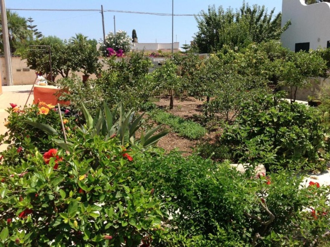 Standard Double room with garden view