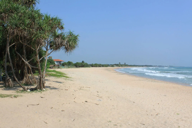 Blissbay Resort