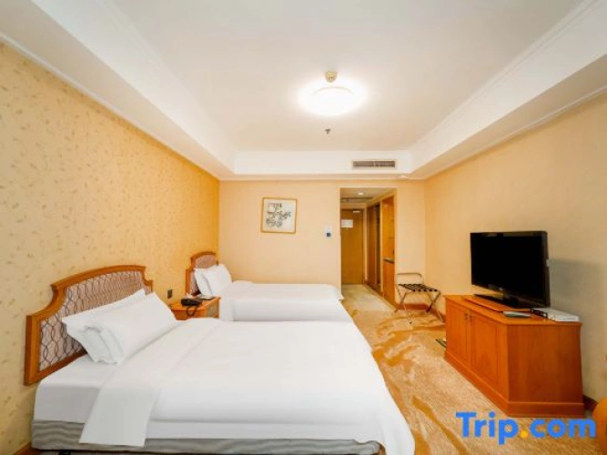 Standard Twin room with mountain view