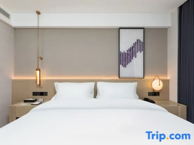 Superior Double Suite