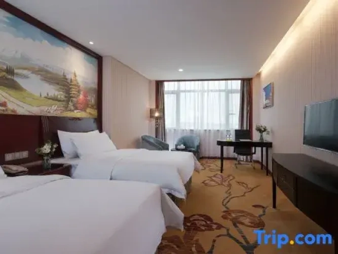 Standard Twin room with city view