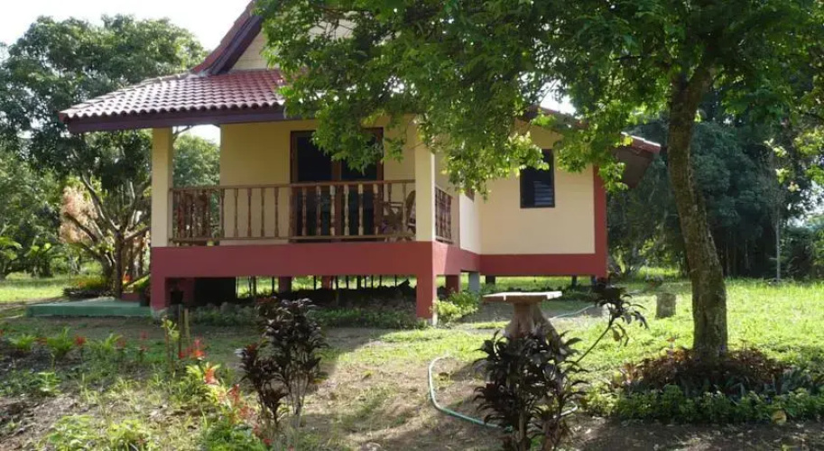 Suancha Tea Garden