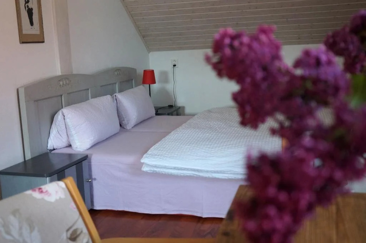 Apartmány Rudík