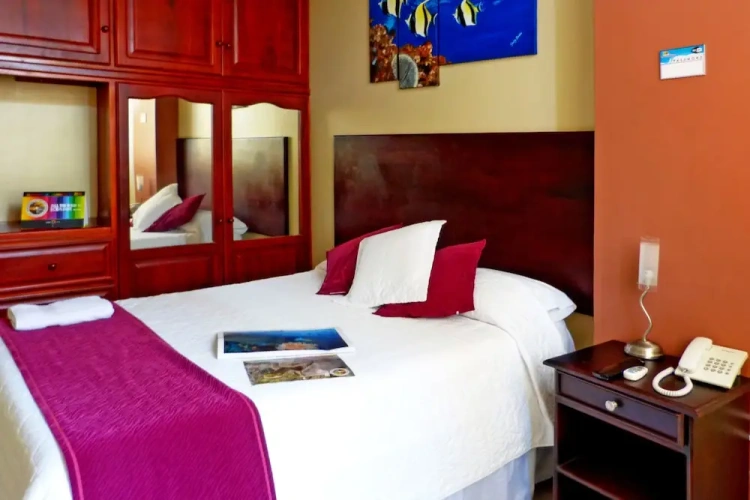 Standard Double room with view