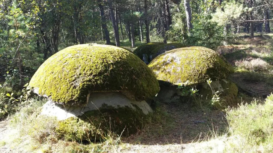 Domki Letniskowe Solaris