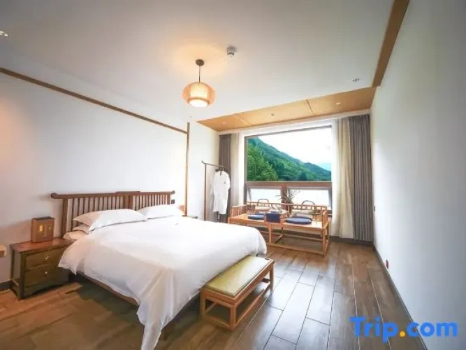 Standard Double room with mountain view