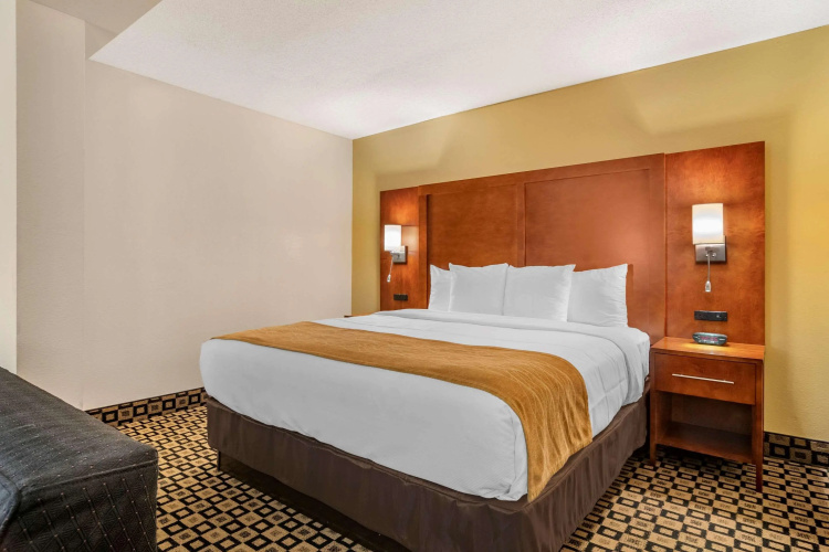 Comfort Inn & Suites Athens North