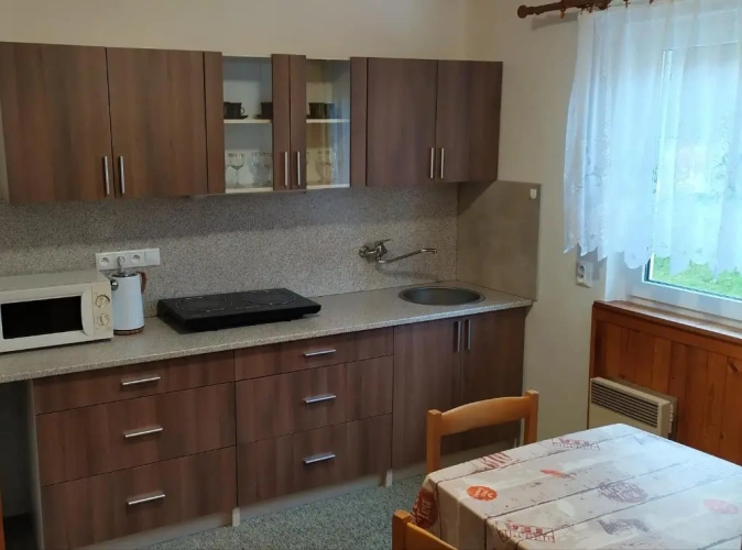 Apartment with garden view
