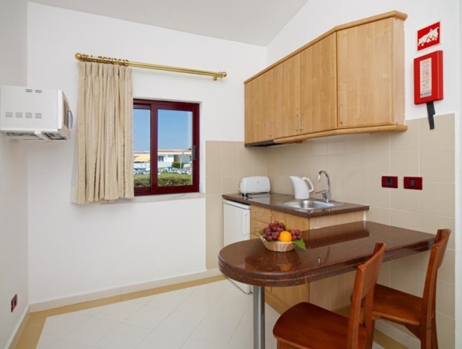 Studio with balcony and with garden view