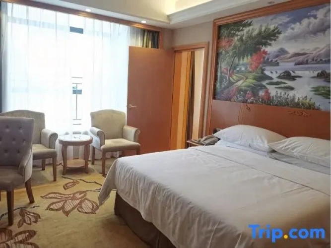 1 Bedroom Suite